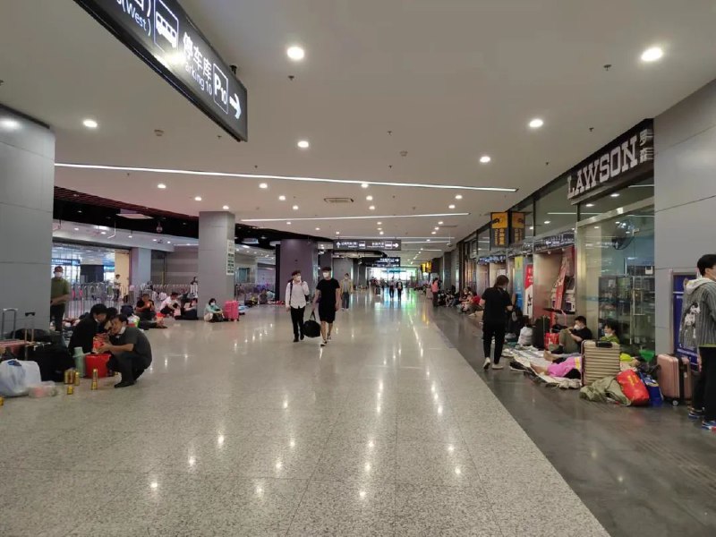 【404文库】真叫卢俊｜“我躲在虹桥的卫生间，不知道去哪。”