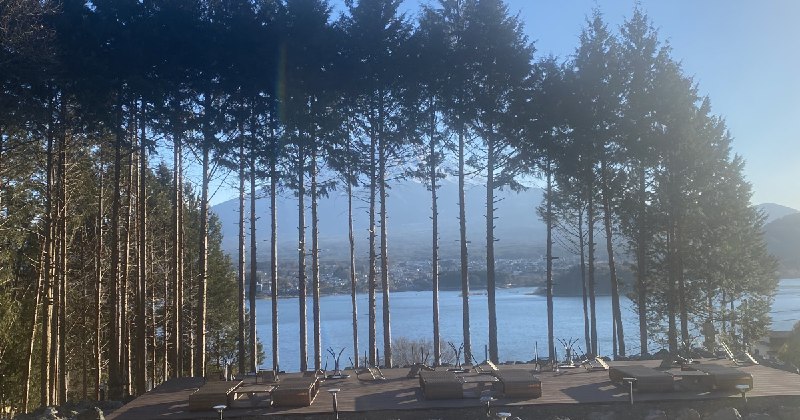 「富士山が見えないから切った」…中国資本のホテルが隣人宅のヒノキ23本を無断伐採した、「身勝手すぎる言い分」（週刊現代） | 現代ビジネス | 講談社