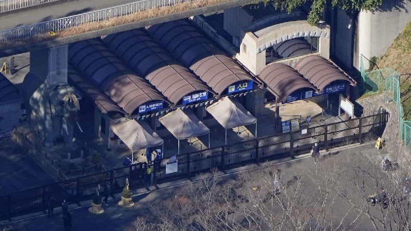 【動画】東京・多摩動物公園からオオカミが脱走　けが人情報なし、目撃情報あり捕獲進める