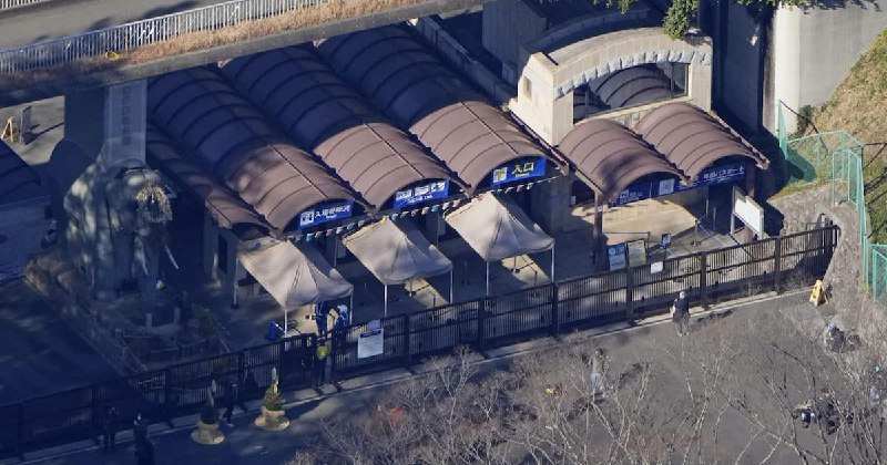 【動画】東京・多摩動物公園からオオカミが脱走　けが人情報なし、目撃情報あり捕獲進める