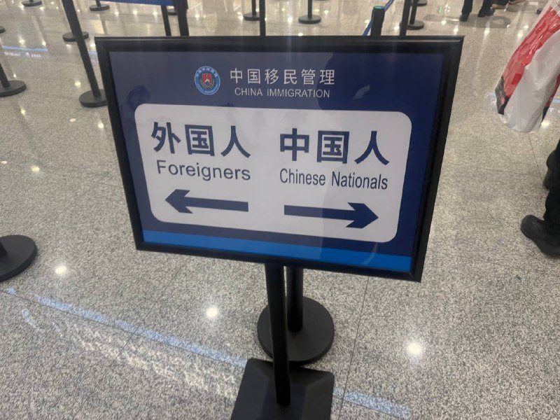 兄弟们你们在日本卷吧我回国当老鼠人了😁