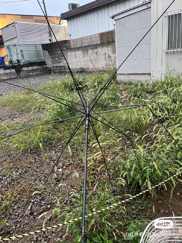 今日份网友们的伞图源小红书😆今日份网友们的伞图源小红书😆