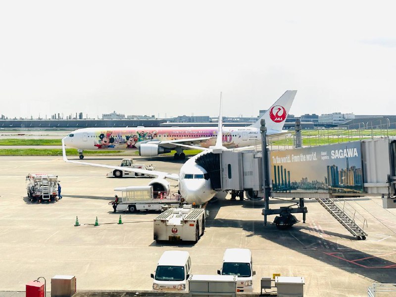 啊啊啊啊啊ANA星战主题的飞机涂装也太酷了 可惜没拍上