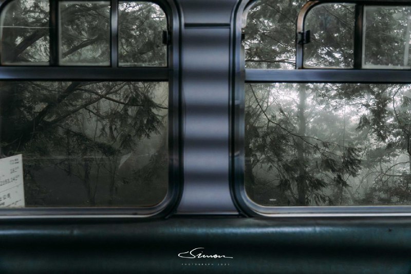 #写真在大雨和浓雾中的阿里山中徒步🥾就像进入了游戏中诡异的梦核世界#写真在大雨和浓雾中的阿里山中徒步🥾就像进入了游戏中诡异的梦核世界