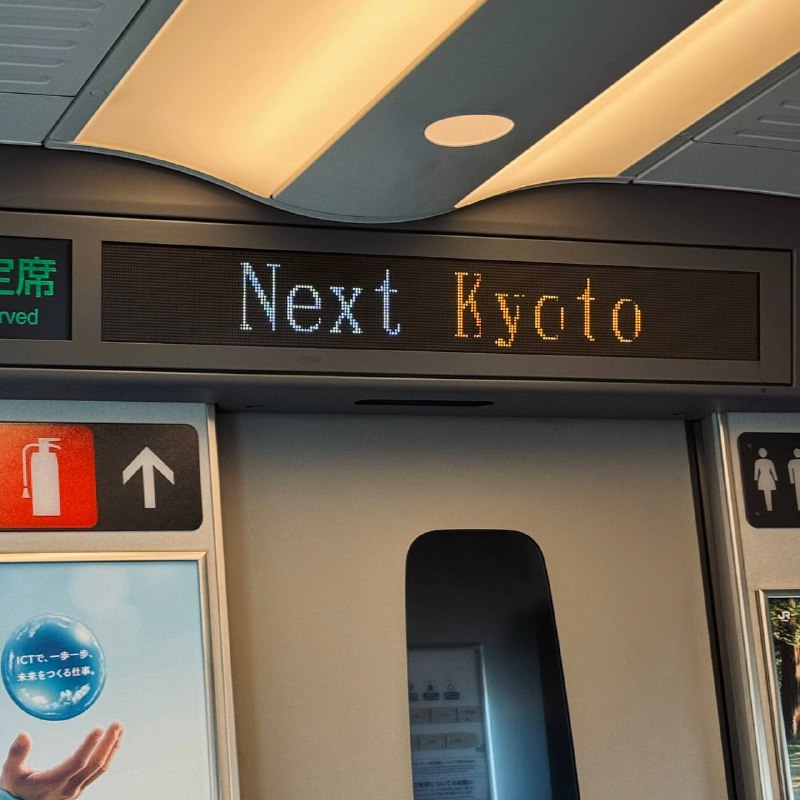 在最好的季节路过京都🤣