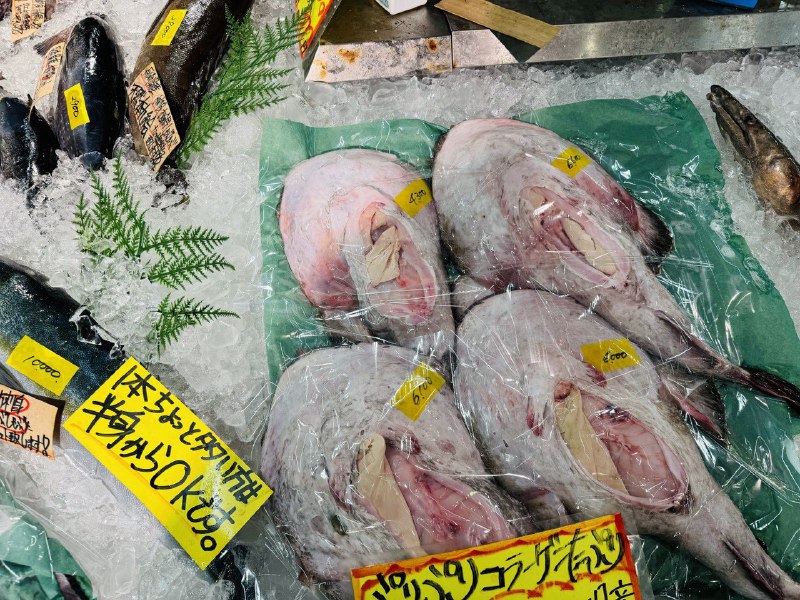 #Food #Life ⭐️西日本最大级市场 とれとれ市場📍〒649-2201 和歌山県西牟婁郡白浜町堅田2521 とれとれ市场位于日本和歌山县的白滨市，不仅是西日本最大量级的海鲜市场，同时还因柯南动画里出现而闻名