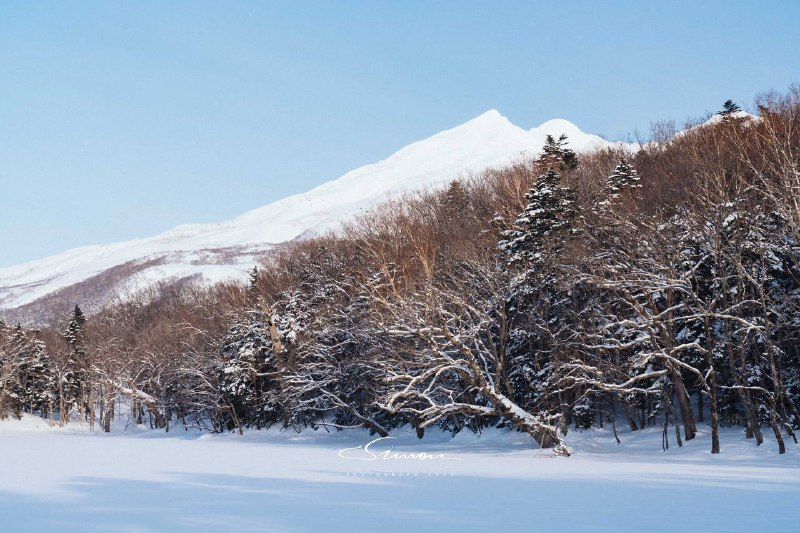 生日当天在知床五湖雪地徒步即使这是北海道六回目 我也依旧被大自然所赋予的景色所震撼我们向导外表像个ヤクザ 但是聊起知床和他热爱的职业 就总有说不完的话知床半岛  希望夏天再见🥳生日当天在知床五湖雪地徒步即使这是北海道六回目 我也依旧被大自然所赋予的景色所震撼我们向导外表像个ヤクザ 但是聊起知床和他热爱的职业 就总有说不完的话知床半岛  希望夏天再见🥳