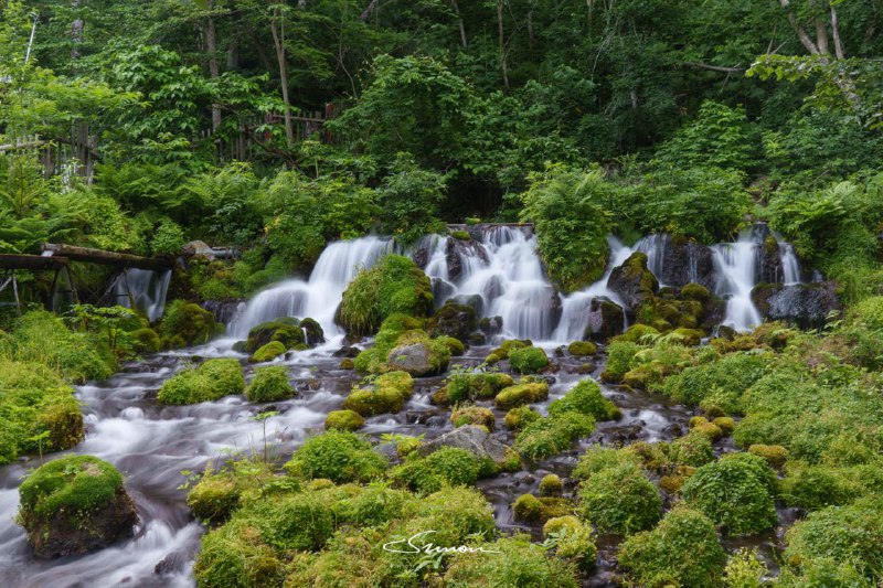 #写真羊蹄のふきだし湧水这个矿泉水在北海道经常能见到🥹据说这里就是采水地京极町自1963年起开始使用泉水作为饮用水，其良好的水质和优良的环境得到认可，并于1985年被选为环境厅“名水百选”之一