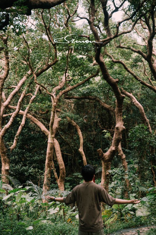 琉球王国最高の聖地  斎場御嶽へ