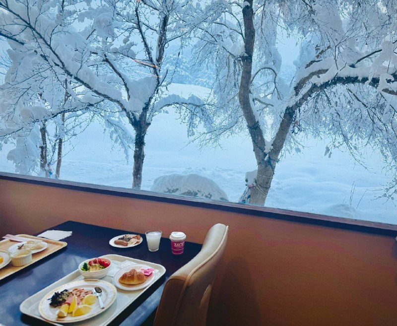 一边看雪景一边吃个早餐不枉我昨天晚上从青森狂飙到秋田