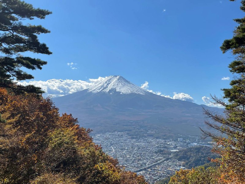 富士山🗻