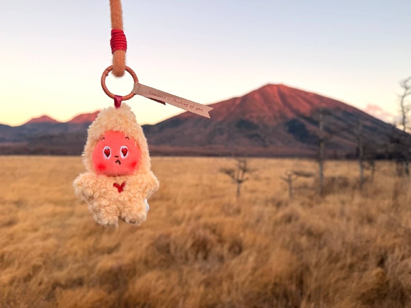 带着星星人在战场之原徒步🥾