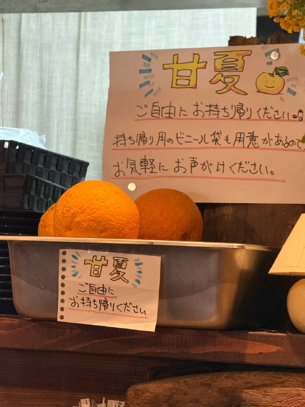 这家店可以拿甘夏吃唉🥹