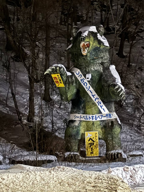 在国道上赶路碰到了一只巨大的熊黑灯瞎火的有点巨物恐惧症了🥲