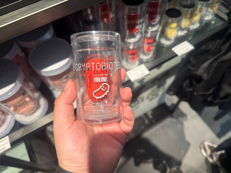 死亡搁浅周边店好好玩死亡搁浅周边店好好玩