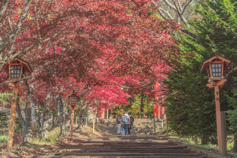 浅間神社の紅葉