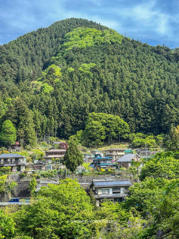 徒步结束，差点累死了（野猪和蛇跑的都比我快，熊倒是没看见幸亏没带相机，整点手机摄影得了全程5公里，奥多摩駅 ～鳩ノ巣徒步结束，差点累死了（野猪和蛇跑的都比我快，熊倒是没看见幸亏没带相机，整点手机摄影得了全程5公里，奥多摩駅 ～鳩ノ巣