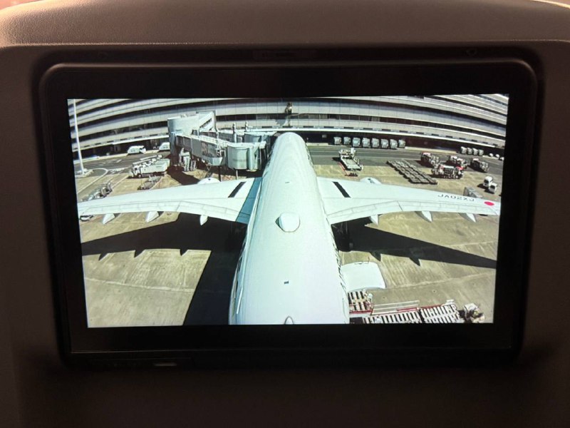 家人们又看上摄像头了🥹家人们又看上摄像头了🥹