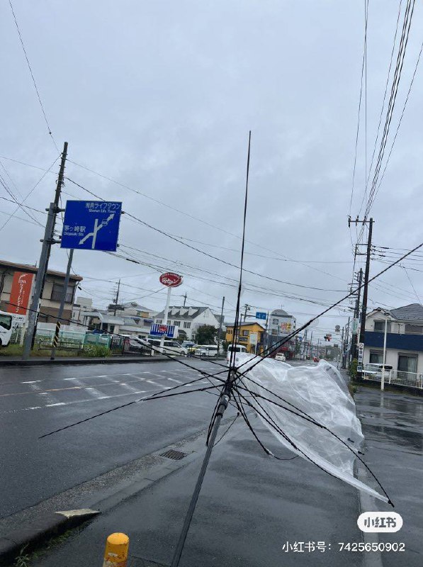 今日份网友们的伞图源小红书😆今日份网友们的伞图源小红书😆