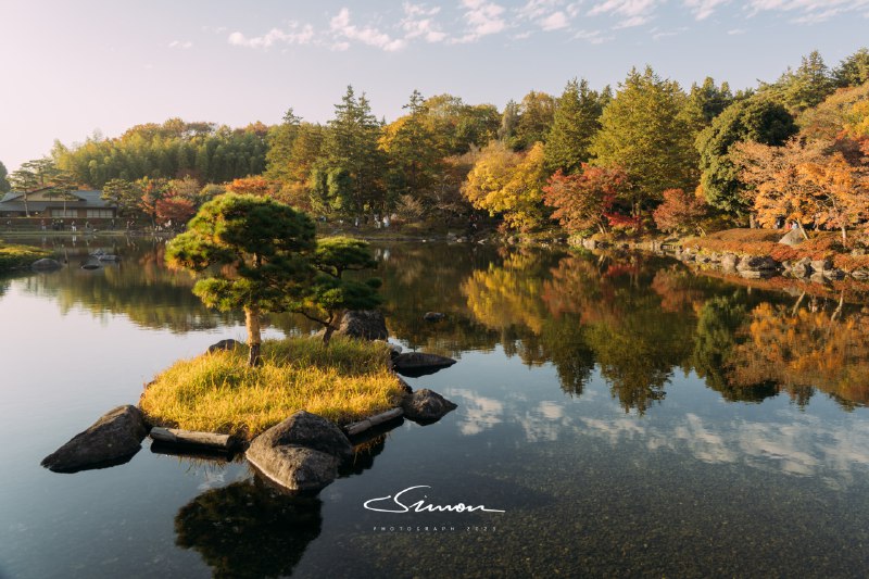 #摄影今日份的国営昭和記念公園