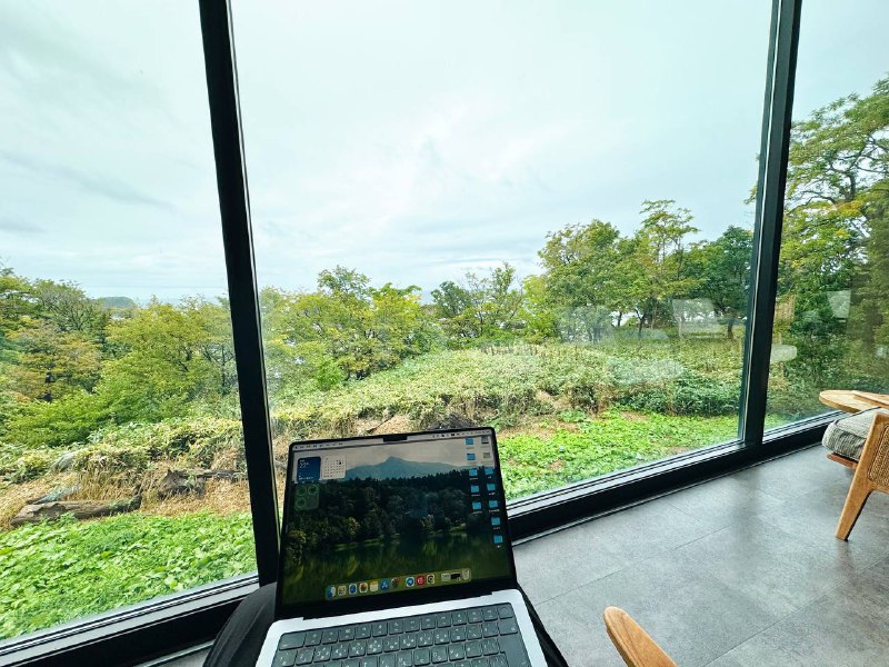 养老也不忘努力码字🥲