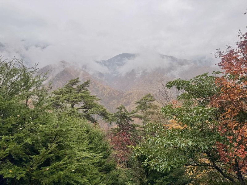 周末大家有空的话可以去西沢溪谷徒步了，距离东京开车 1 个多小时，适合日归目前的秋景非常美丽，而且路线超级简单、老少皆宜发一点上周日的徒步的iPhone直出图片给大家参考周末大家有空的话可以去西沢溪谷徒步了，距离东京开车 1 个多小时，适合日归目前的秋景非常美丽，而且路线超级简单、老少皆宜发一点上周日的徒步的iPhone直出图片给大家参考