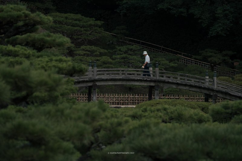 #写真📍栗林公园📷A7M4 70-200 F4