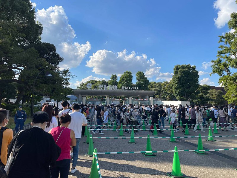 冲