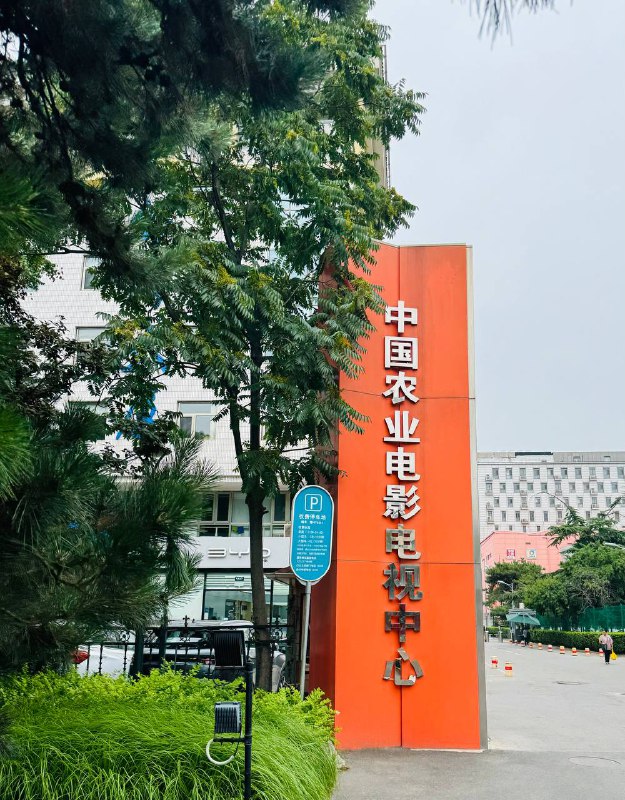 开始准备汇报工作🤣