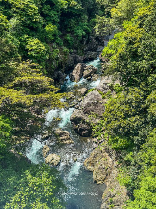 徒步结束，差点累死了（野猪和蛇跑的都比我快，熊倒是没看见幸亏没带相机，整点手机摄影得了全程5公里，奥多摩駅 ～鳩ノ巣徒步结束，差点累死了（野猪和蛇跑的都比我快，熊倒是没看见幸亏没带相机，整点手机摄影得了全程5公里，奥多摩駅 ～鳩ノ巣
