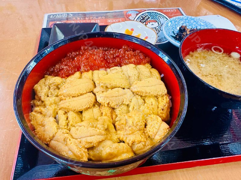 #美食うにだけうに丼！樺太食堂 4.4分名不虚传啊😱