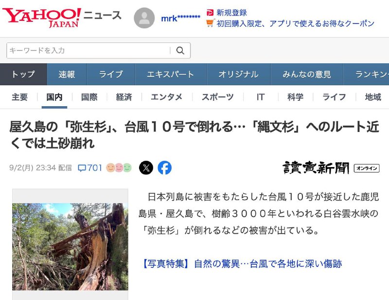 不幸的是屋久岛一颗拥有3000年树龄的「弥生杉」被台风吹倒了，幸运的是我8月份曾看到过它完整的面貌🥲实在太可惜了不幸的是屋久岛一颗拥有3000年树龄的「弥生杉」被台风吹倒了，幸运的是我8月份曾看到过它完整的面貌🥲实在太可惜了