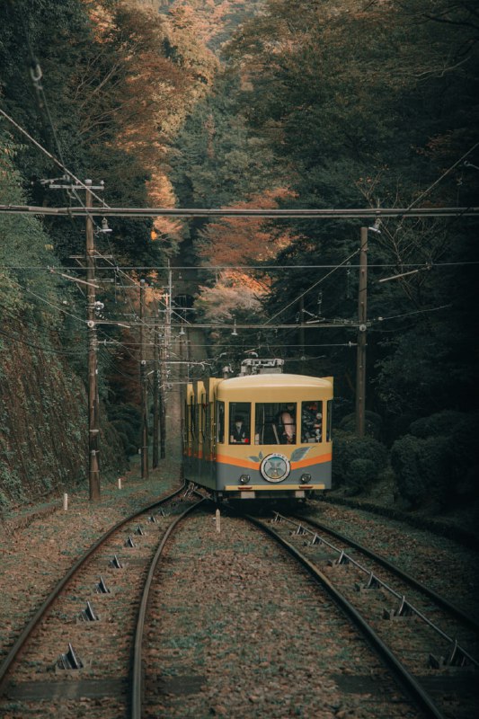 秋の山を走る電車が最高に渋い