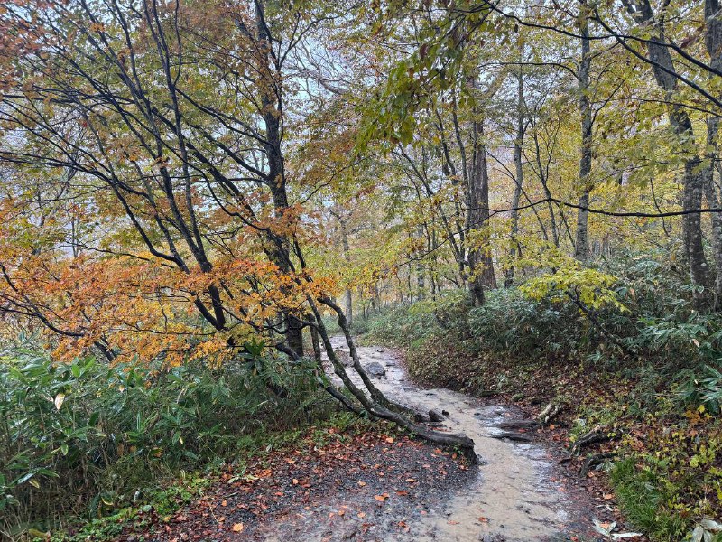 开始徒步！人家的装备和我的形成鲜明对比🤣开始徒步！人家的装备和我的形成鲜明对比🤣