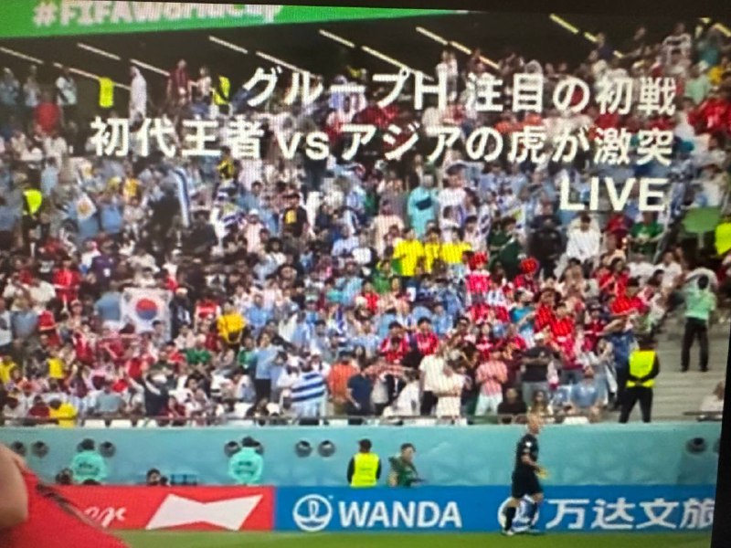 初代王者vs亚洲虎的激突