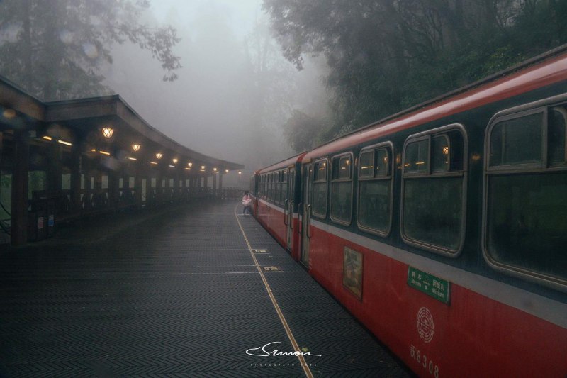 #写真在大雨和浓雾中的阿里山中徒步🥾就像进入了游戏中诡异的梦核世界#写真在大雨和浓雾中的阿里山中徒步🥾就像进入了游戏中诡异的梦核世界