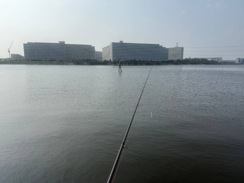 姜太公钓鱼，愿者上钩😂