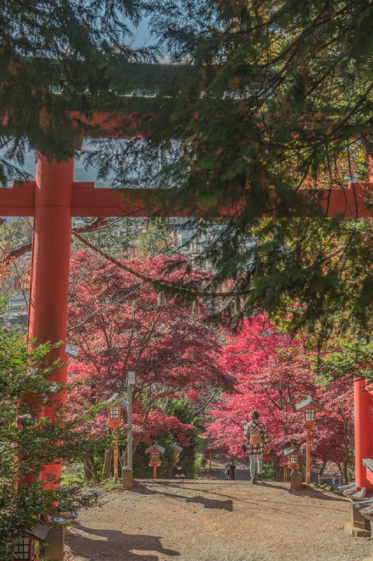 浅間神社の紅葉