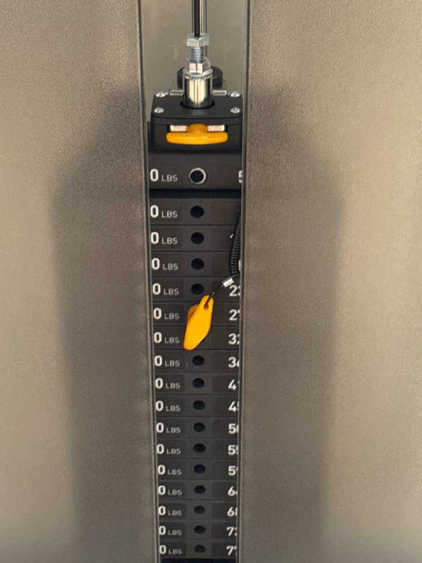 锻炼圆环已合上🥹