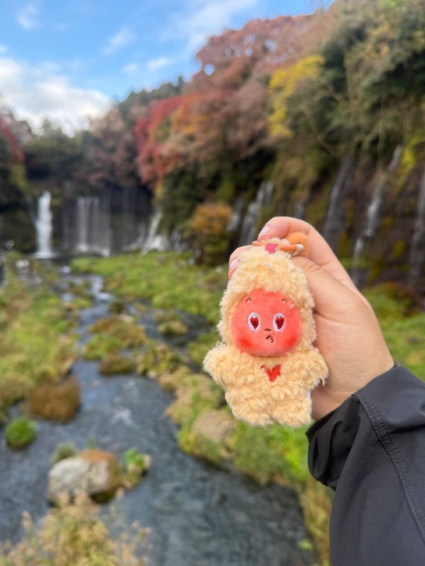 带星星人见见世面