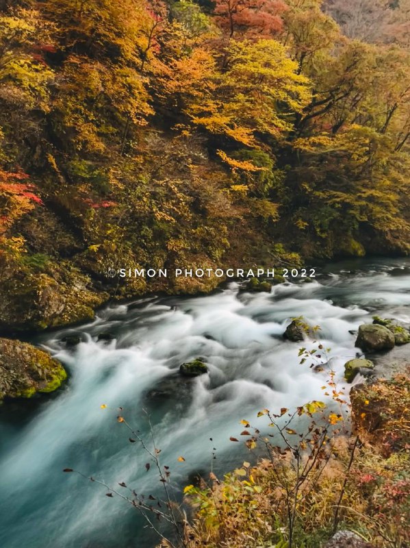 很难想象iPhone 14 Pro 能在傍晚拍出如此惊人的照片