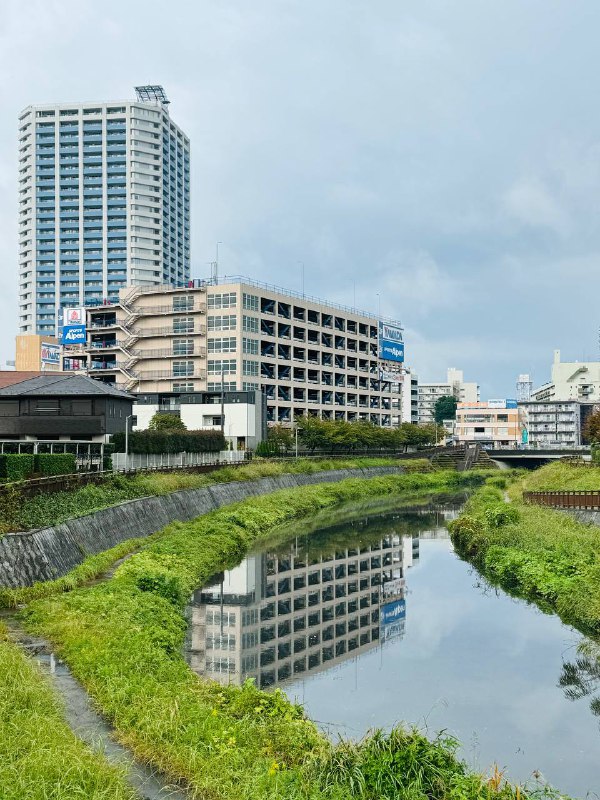 #摄影雨后天晴确实适合拍照特别是上班摸鱼拍照