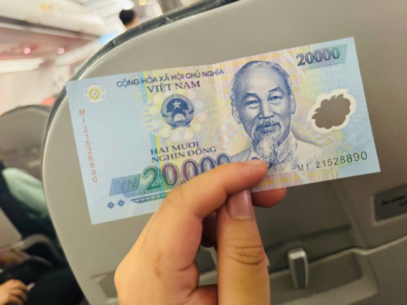 在印度尼西亚用日元买航空餐然后收到了越南盾🇻🇳