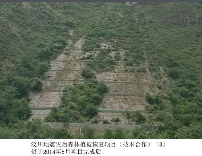 《建构新时代中日关系——改革开放以来中日经济技术合作轨迹与成果》这部分文件是经过中华人民共和国财政部 国际财金合作司认可的，来源是日本驻华大使馆