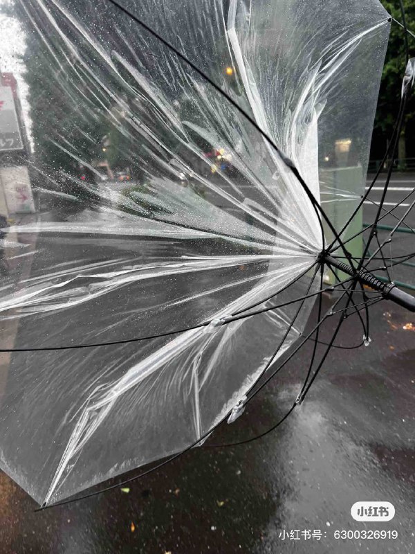 今日份网友们的伞图源小红书😆今日份网友们的伞图源小红书😆