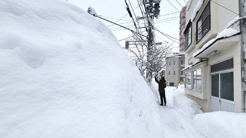 青森的雪已到达下一个level了🥲雪都没地儿堆了，双行道堆雪以后直接变成单行道了