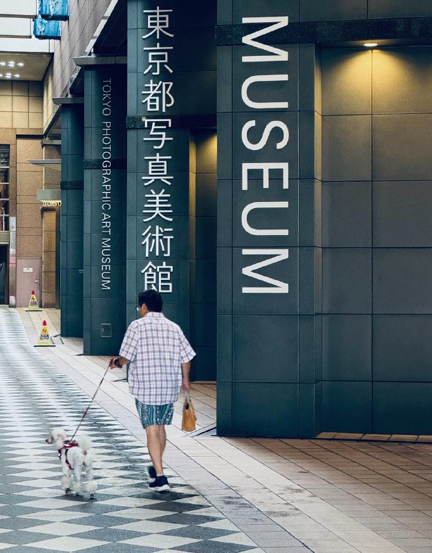 来东京都写真美术馆涨涨见识😼