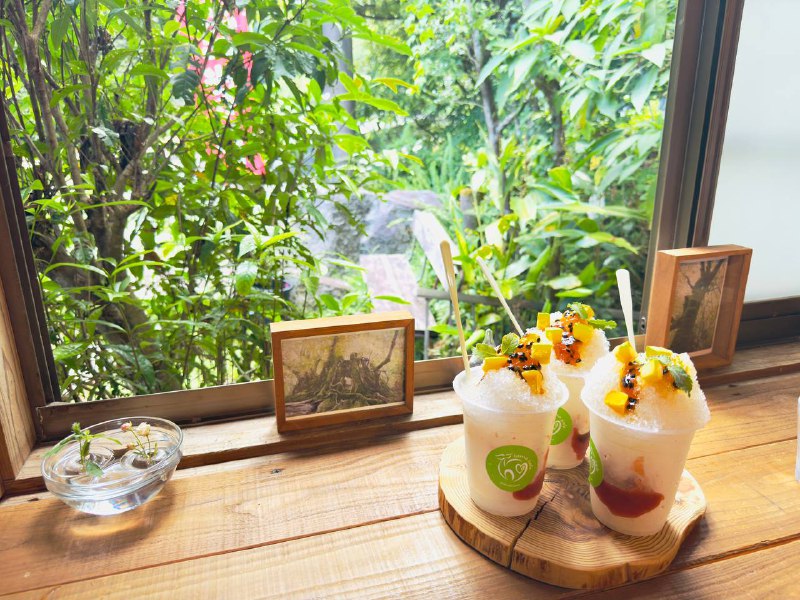 在屋久岛喝一杯芒果冰沙看着窗外的绿植和手里的杂志美哉美哉🥹