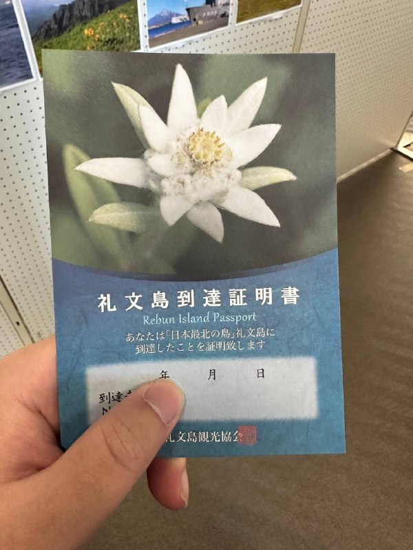 「日本最北の島」礼文島に到着した！