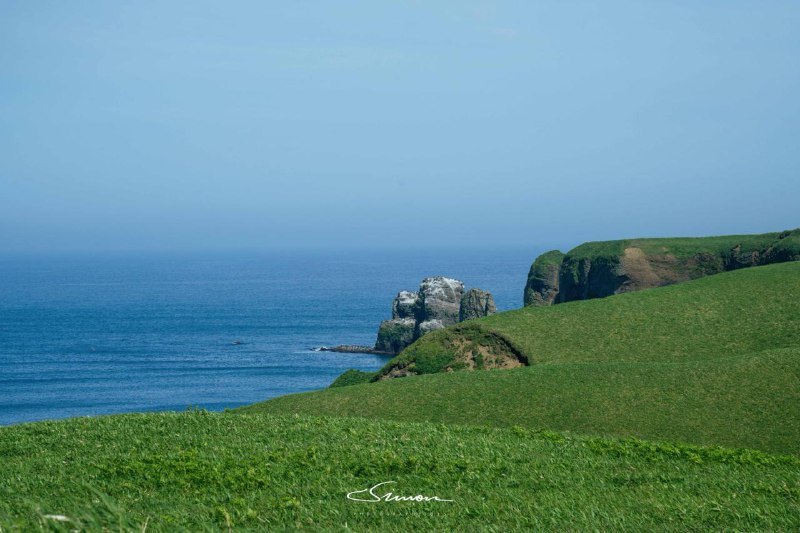 #写真 #随手瞎几把写的我静静地坐在海边的草地上